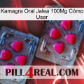 Kamagra Oral Jalea 100Mg Cómo Usar 14